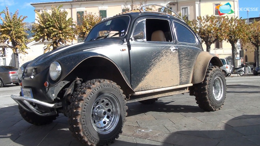 baja bugs